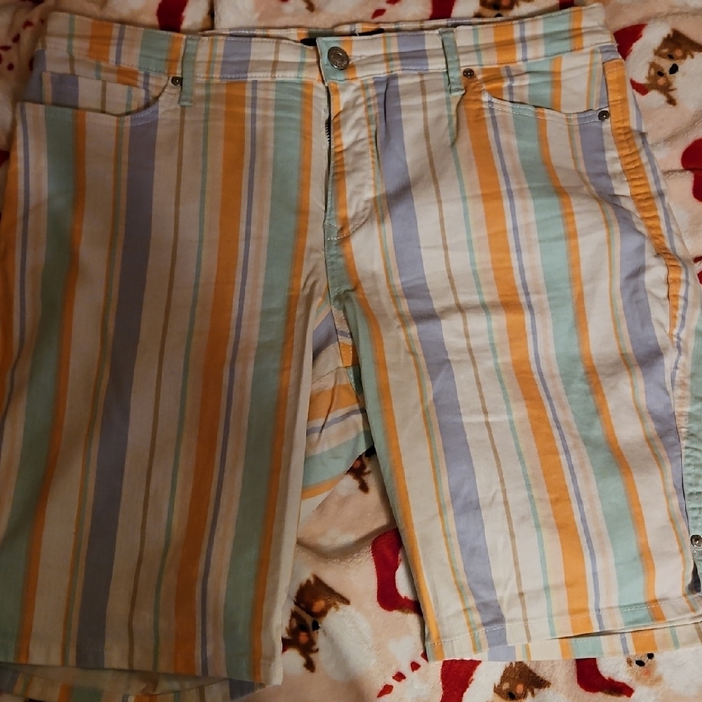 Gloria Vanderbilt Multicolor Striped Shorts